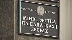 В Беларуси начали действовать налоговые новации для ИП и физлиц. Для чего это нужно?