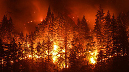 В Канаде тысячи людей эвакуированы из-за лесных пожаров 