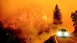 Лесные пожары охватили канадские провинции Альберта и Британская Колумбия