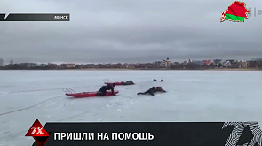 На Цнянском водохранилище спасли провалившегося под лед рыбака