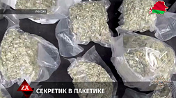 Мужчина передвигался по Москве с двумя кило марихуаны