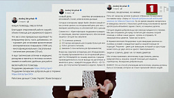 Разоблачение беглой оппозиции в журналистском расследовании Марии Петрашко