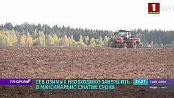 В Совмине Беларуси обсудили вопрос проведения полевых работ в оптимальные сроки