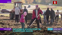 В следующем году планируется масштабное благоустройство и озеленение Минска 