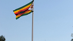 В Зимбабве планируют ввести новую денежную единицу