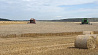Белорусские аграрии собрали более 3 млн тонн урожая с полей 