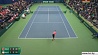 Australian Open.  Илья Ивашко  встретится с Деннисом Новаком 