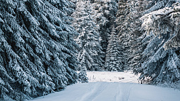Снег, до -20 градусов и гололедица: какой прогноз дают синоптики на 4 января