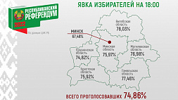 Явка избирателей на референдуме на 18:00 составила 74,86 %