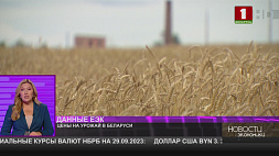 В Беларуси и России самые низкие цены на ячмень и пшеницу в Евразийском союзе 