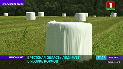 Первый укос трав в Беларуси близится к завершению