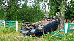 Volkswagen вылетел в кювет в Лепельском районе - водитель погиб