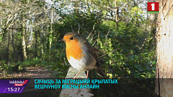 Белорусы - активные участники кампании "Живая весна". Увидел перелетную птицу - отметь ее на онлайн-карте