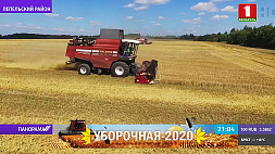 Убрать урожай без потерь - приоритетная задача белорусских аграриев