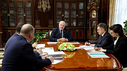 Эпидемиологическая ситуация, импортозамещение и кадры - ключевые вопросы системы здравоохранения обсудили у Александра Лукашенко 