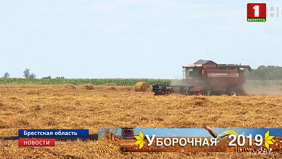 Миллионный рубеж в намолоте зерна преодолели аграрии Брестской области