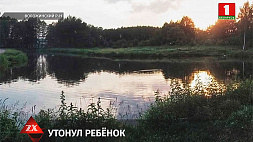 В Воложинском районе утонула 9-летняя девочка