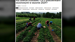 Из-за украинского закона о мобилизации некому будет собирать клубнику в Польше