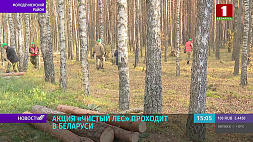 Акция "Чистый лес" проходит в Беларуси