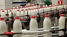 Изменение техрегламента ЕАЭС увеличит конкурентность белорусской молочной продукции
