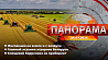 Главные новости в Беларуси и мире. Панорама, 24.07.2024
