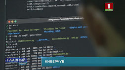 Более 660 хакерских атак организовала Украина против Беларуси и России