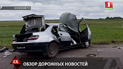 Водитель Volkswagen переехал мужчину в Ивьевском р-не, в Минске девушка попала под колеса маршрутки - подробности от ГАИ 