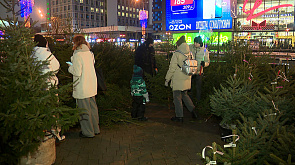 Елочные ярмарки в Минской области стартуют с 20 декабря - душистый товар на свой вкус найдет каждый