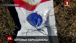 Оптовые наркодилеры задержаны в Минске
