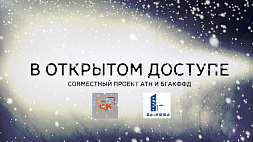 Проект АТН "В открытом доступе" расскажет о традициях белорусов на старый Новый год