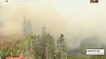 Вторую неделю в Канаде бушуют лесные пожары