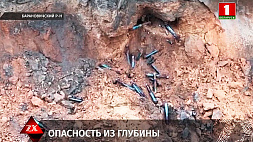 80 снарядов найдено вблизи школы в агрогородке Русино