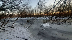 В Добрушском районе ребенок провалился под лед 