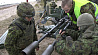 Эстония обсуждает возможность отправки войск в Украину