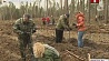 В акции "Неделя леса" приняли участие руководство и сотрудники Министерства иностранных дел