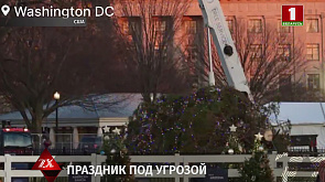 В Вашингтоне упала главная рождественская елка