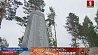 Обновленный мемориал  в честь воинов-освободителей открылся в деревне Гришино 