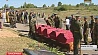В Шумилинском районе обнаружены останки девяти воинов Великой Отечественной войны