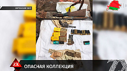 Витебские оперативники выявили сразу нескольких коллекционеров оружия