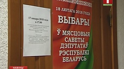 В столице продолжается избирательная кампания в местные Советы депутатов