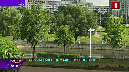 Экстремальная жара захватила Минск и область, объявлен оранжевый уровень опасности