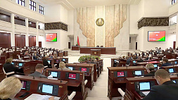 Депутаты приняли в первом чтении законопроект об ответственном обращении с животными