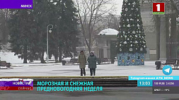 Морозная и снежная предновогодняя неделя ожидается в Беларуси