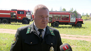Главный лесничий Минской области рассказал, почему вводятся запреты на посещение лесов