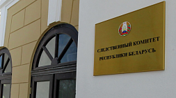 СК Беларуси начал спецпроизводство в отношении 20 так называемых аналитиков Тихановской