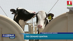 СПК имени Сенько - успешный бизнес-проект в сельском хозяйстве, который входит в десятку лучших в Беларуси