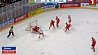 Сборная Беларуси по хоккею уступила сборной Чехии - 0:3