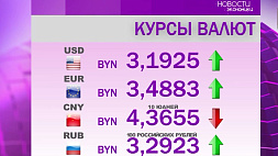 Курсы валют на 17 августа: доллар и российский рубль подорожали, юань подешевел