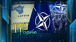 Очередные учения НАТО: так ли силен сегодня альянс и что стоит за пугающими заголовками СМИ 
