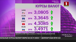 Курсы валют на 24 ноября: белорусский рубль ослаб к трем основным валютам